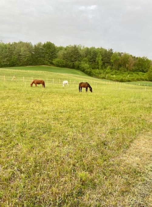 Appartamento In Cascina -La Cascinetta Di Ali- Roatto المظهر الخارجي الصورة