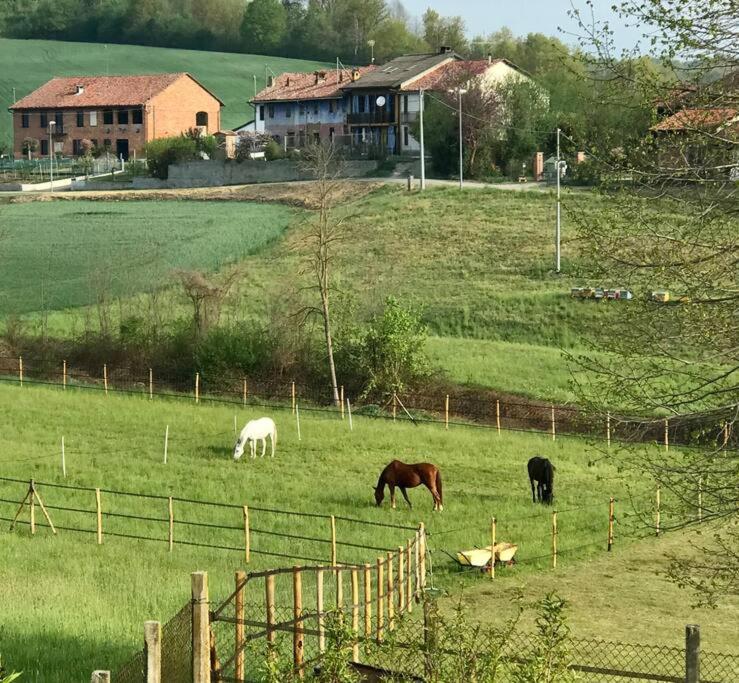 Appartamento In Cascina -La Cascinetta Di Ali- Roatto المظهر الخارجي الصورة