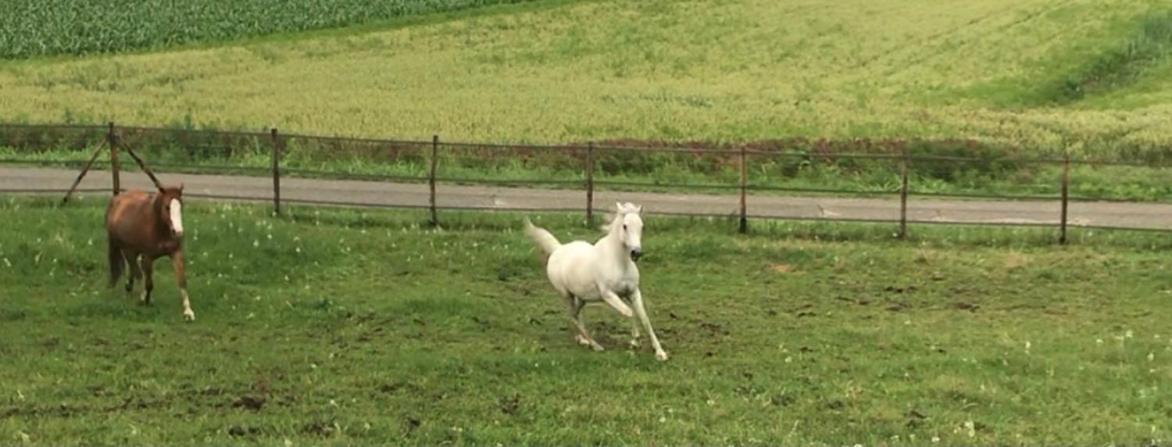 Appartamento In Cascina -La Cascinetta Di Ali- Roatto المظهر الخارجي الصورة