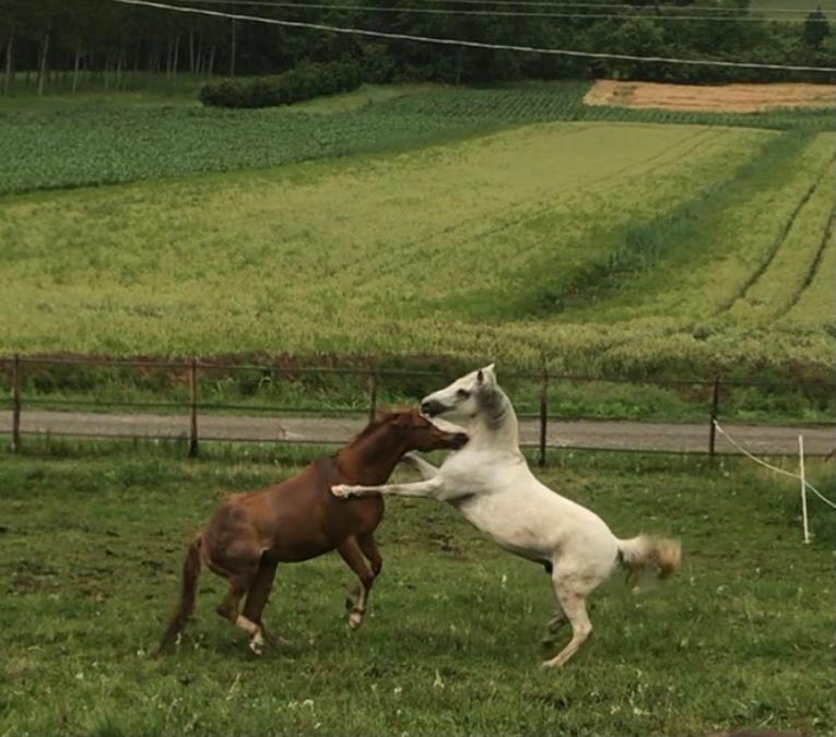 Appartamento In Cascina -La Cascinetta Di Ali- Roatto المظهر الخارجي الصورة
