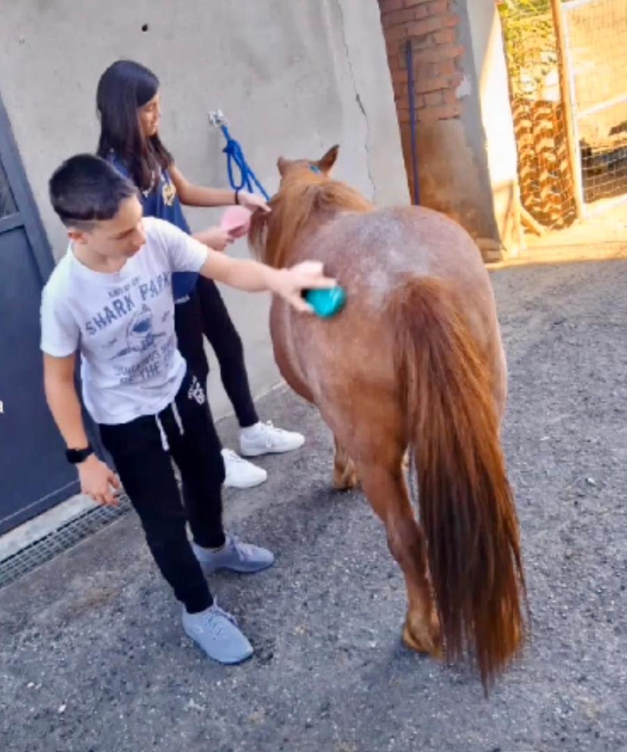 Appartamento In Cascina -La Cascinetta Di Ali- Roatto المظهر الخارجي الصورة